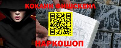 индика Можга