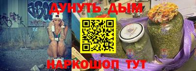 индика Можга
