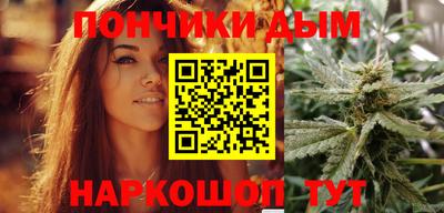 индика Можга