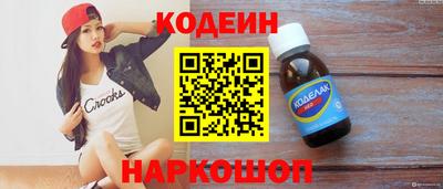 индика Можга