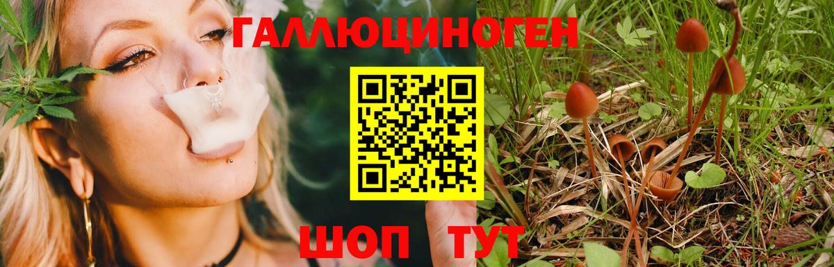 Псилоцибиновые грибы ЛСД Уссурийск